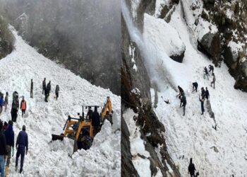 Avalanche In Sikkim