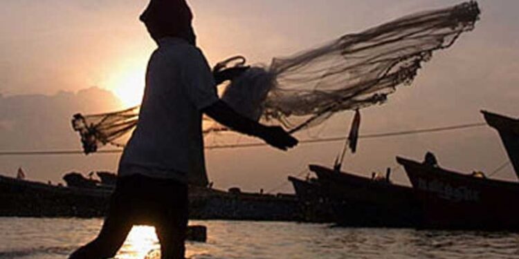 fishing