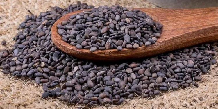 Prevent Premature Gray Hair