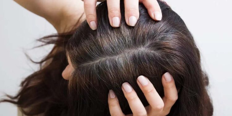 Summer hair care Tips in Tamil 2025