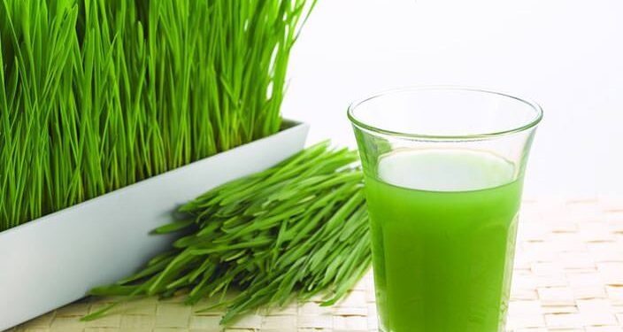 Prevent Premature Gray Hair